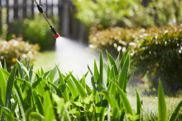Tamper-Resistant Bait Stations for Rodents in Westport