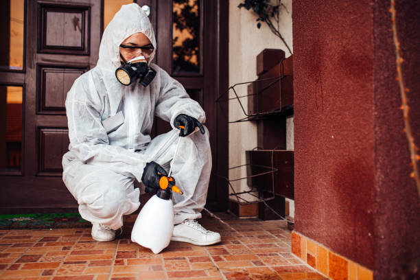 Attic and Crawl Space Rodent Treatment in Westport